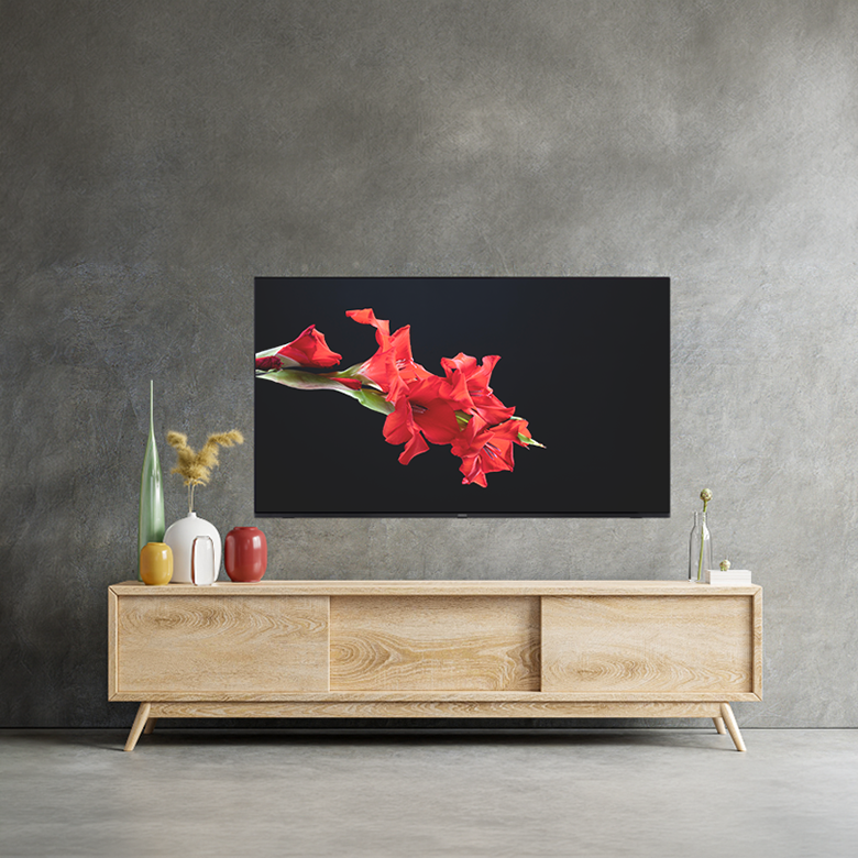 AIWA_телевізори