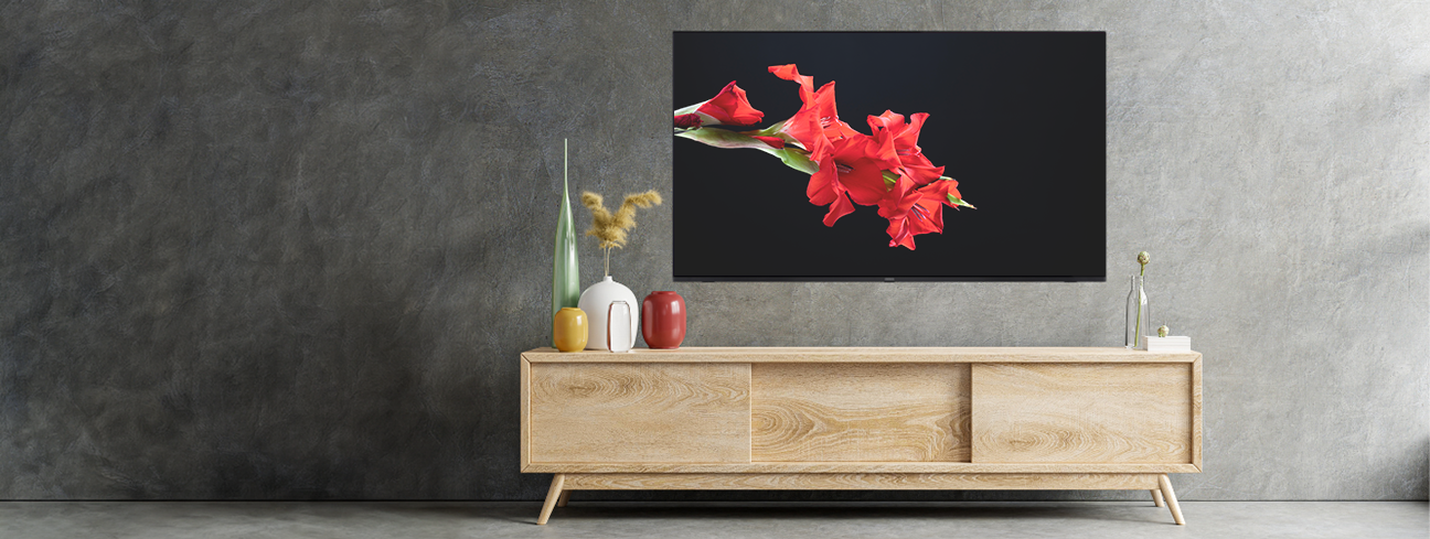 AIWA_телевізори