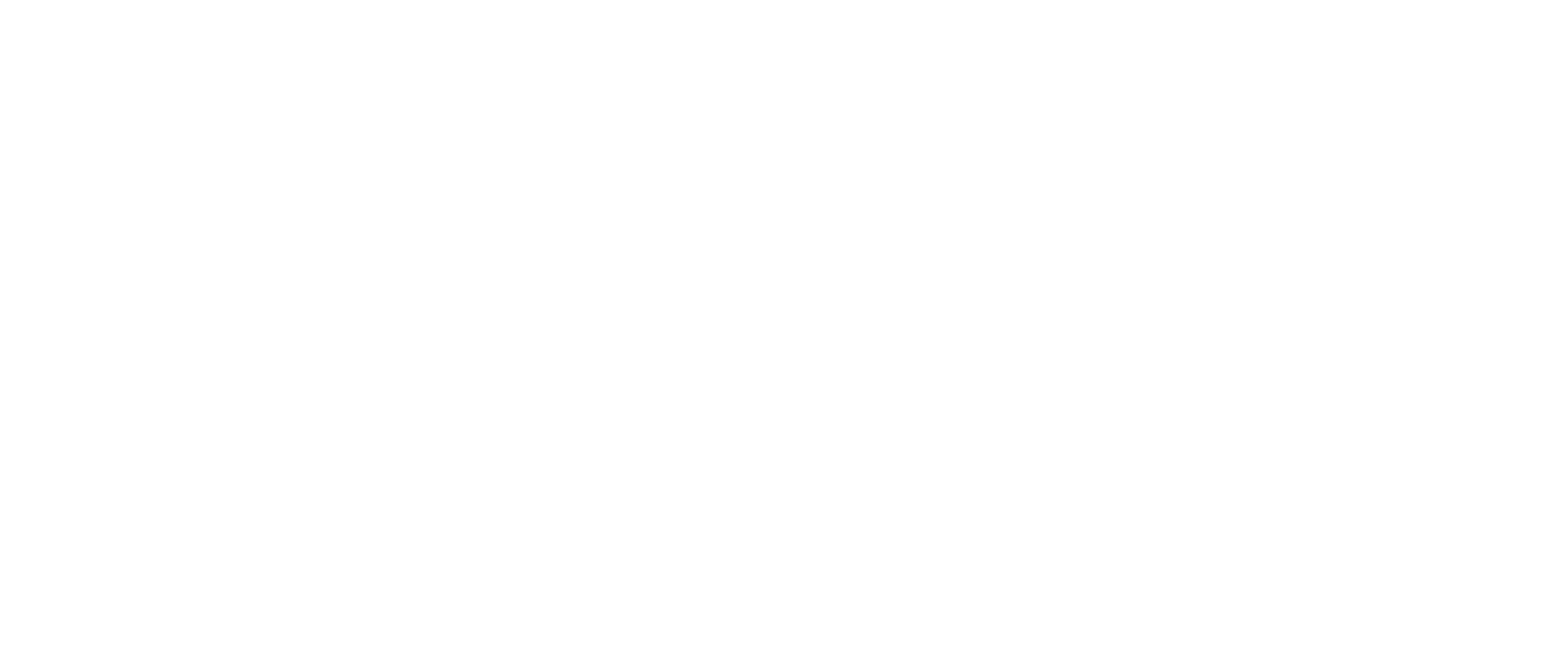 FSP2