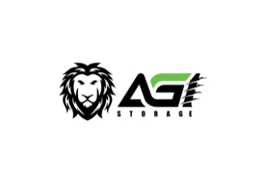 AGI (SSD пам'ять)